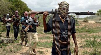 Niger: Bandits kill 3 travelers, abduct two farmers