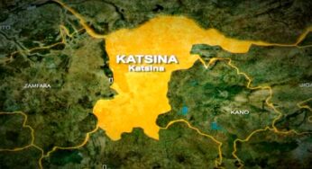 Katsina: 20 dead as rival terrorist groups clash