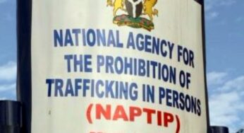 Nigerian Navy rescues 9 suspected trafficking victims, hands over to NAPTIP