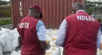 Ebonyi: NDLEA seizes over 115kg of illegal drugs, arrests 149 suspects