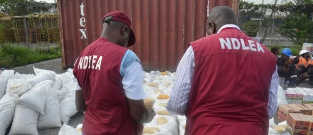 Ebonyi: NDLEA seizes over 115kg of illegal drugs, arrests 149 suspects