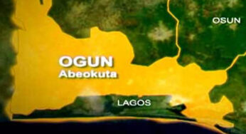 Woman allegedly cuts off husband’s manhood during argument in Ogun