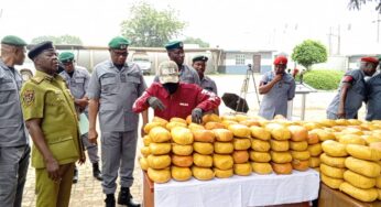 Customs transfers Cannabis worth millions to NDLEA in major drug bust (Photos)