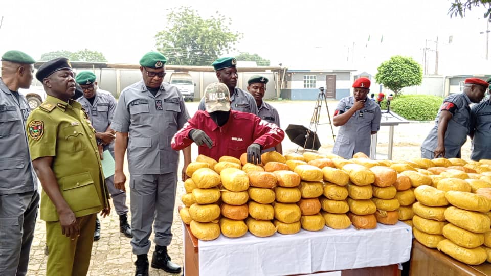 Customs transfers Cannabis worth millions to NDLEA in major drug bust (Photos)