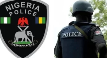 Enugu: Police arrest woman for assaulting stepson with pestle