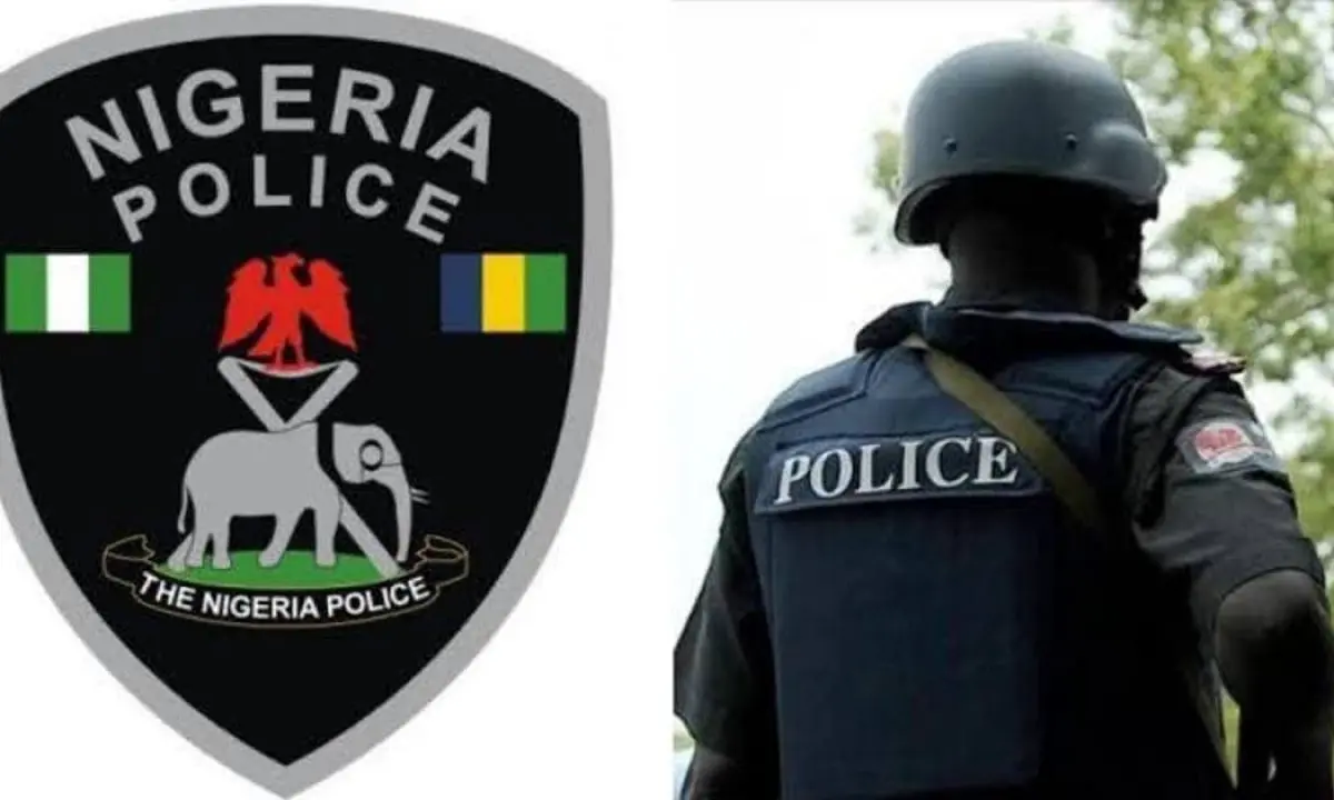 Enugu: Police arrest woman for assaulting stepson with pestle