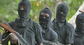 Niger: Bandits abduct 20 passengers on Maiga-Kontagora road