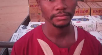 Warehouse thief nabbed in Bauchi, ₦13.25m worth of items recovered