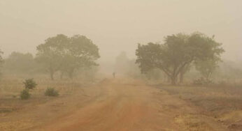 NiMet predicts 3-day sunshine, haze, thunderstorms across Nigeria