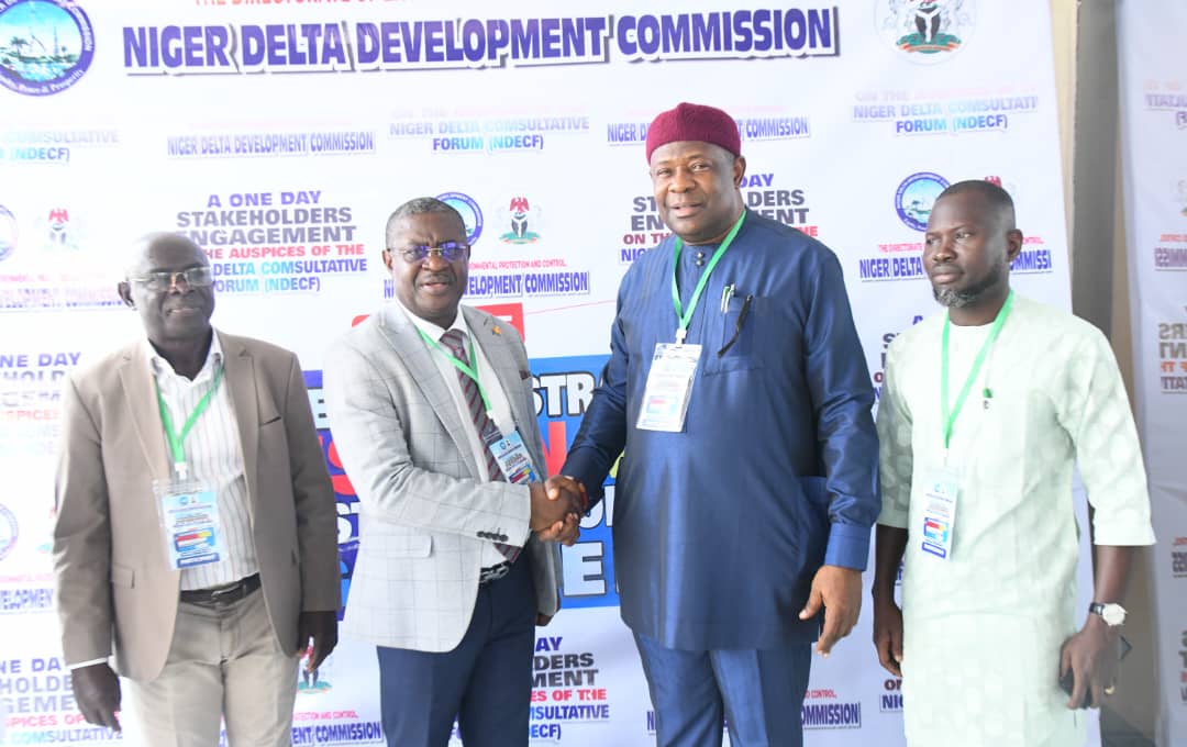 Niger Delta needs integrated strategies for safe environment – NDDC Director