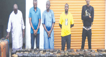 Lagos Court sentences four drug lords to 28 years in prison