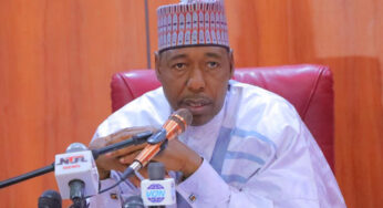 Zulum clarifies northern governors’ stance on Tinubu’s tax reforms