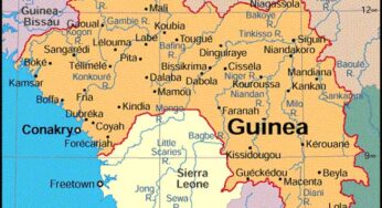 Guinea: Dozens Killed In Football Fan Clashes