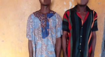 Ogun police arrest man for stealing goat for naming ceremony