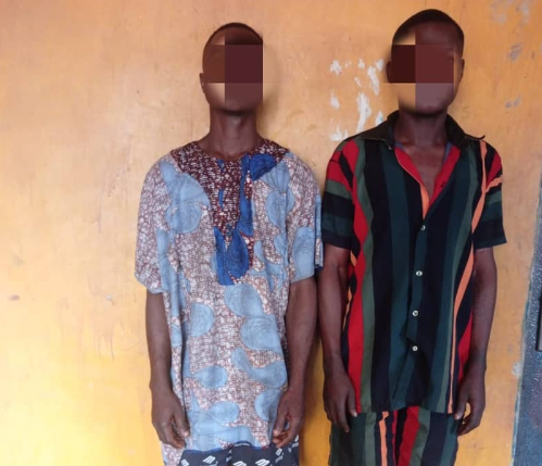 Ogun police arrest man for stealing goat for naming ceremony