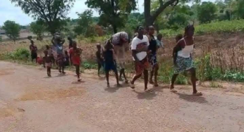 BREAKING: Many feared dead as suspected herdsmen launch fresh attack on Benue communities