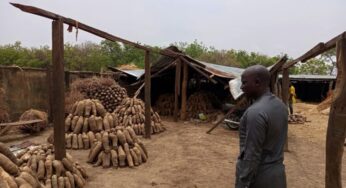 Over 70 houses, yam barns destroyed by windstorm in Plateau communities