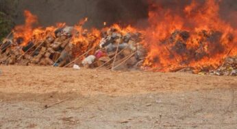 NDLEA destroys largest ever seizure, set 1.6m kilograms of illicit drugs ablaze